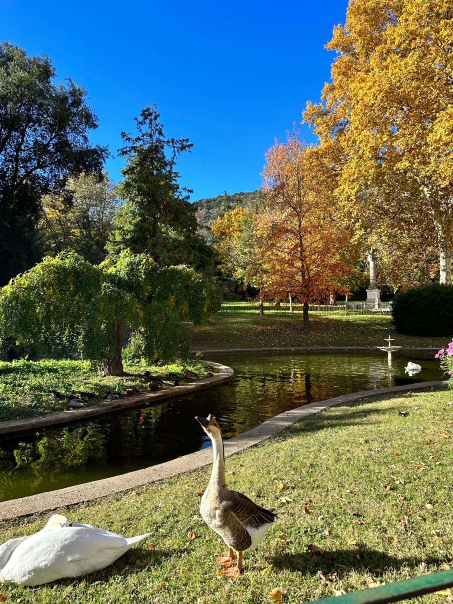 شقة Le Perchoir Du Parc Coeur Historique أندوز المظهر الخارجي الصورة